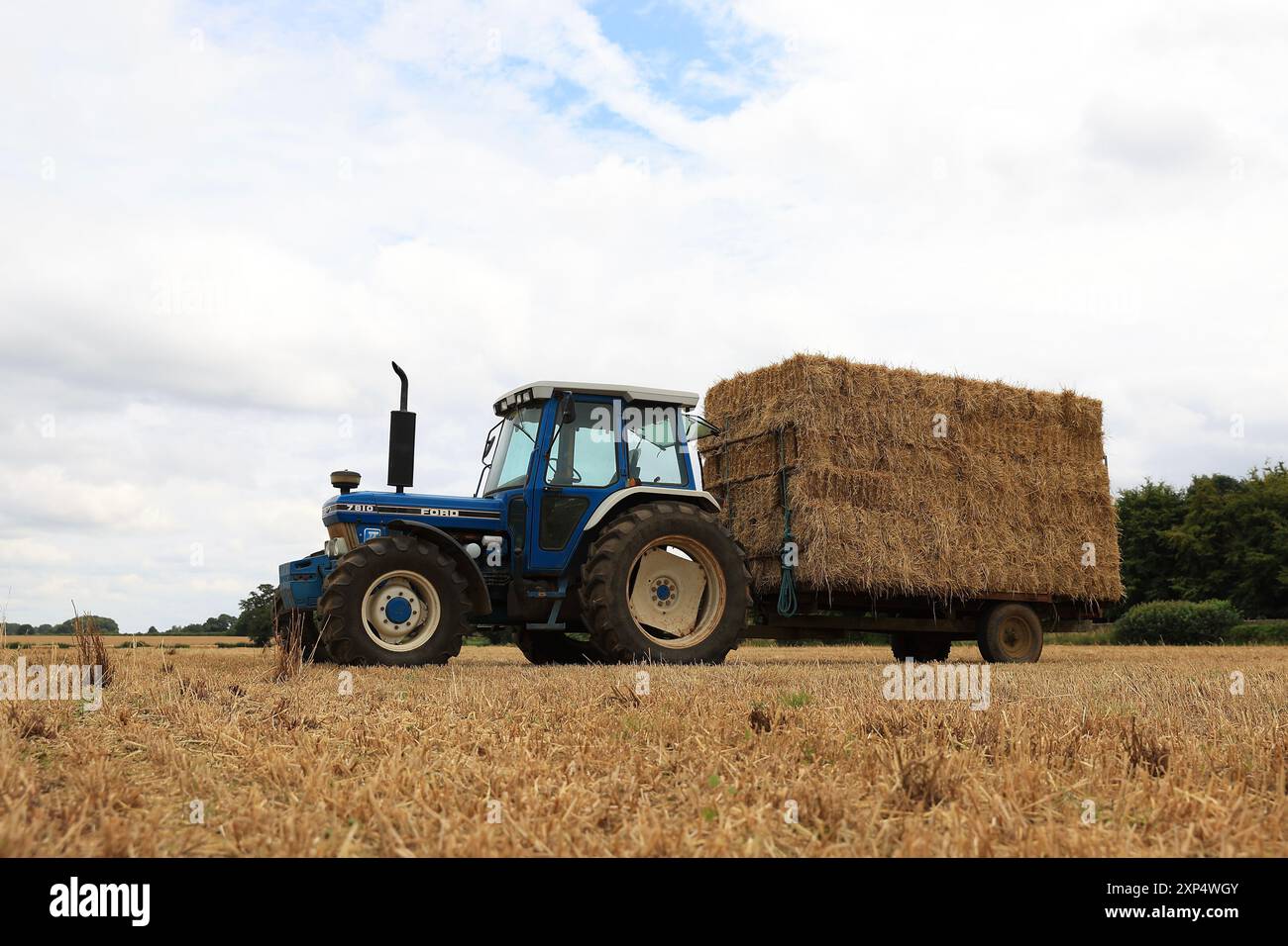 Stroud, Regno Unito, 6 agosto 2024. È ora di raccolta estiva per gli agricoltori del Gloucestershire, che utilizzano i loro trattori e rimorchi per radunarsi nelle balle. Foto Stock