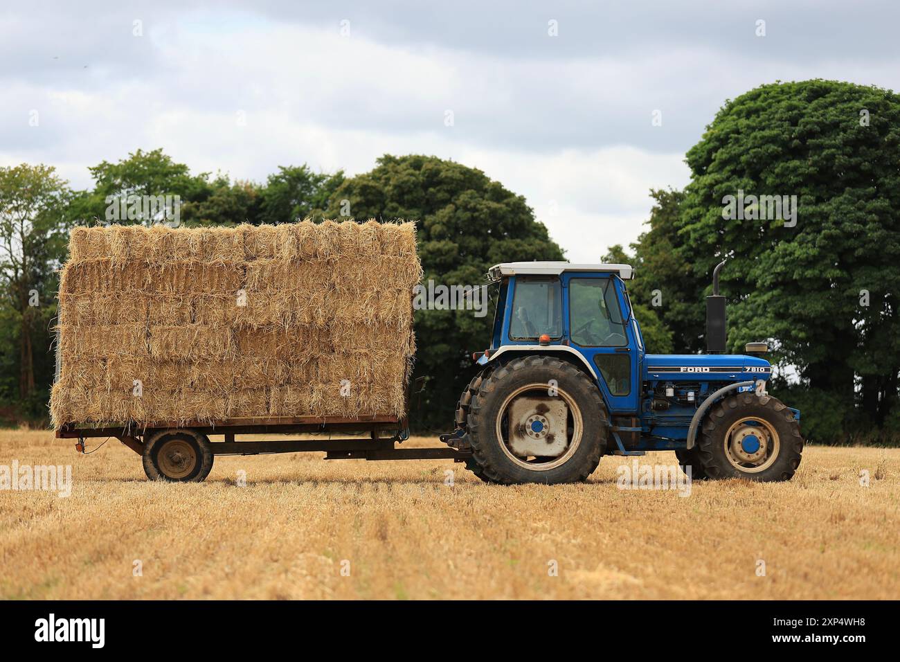 Stroud, Regno Unito, 6 agosto 2024. È ora di raccolta estiva per gli agricoltori del Gloucestershire, che utilizzano i loro trattori e rimorchi per radunarsi nelle balle. Foto Stock
