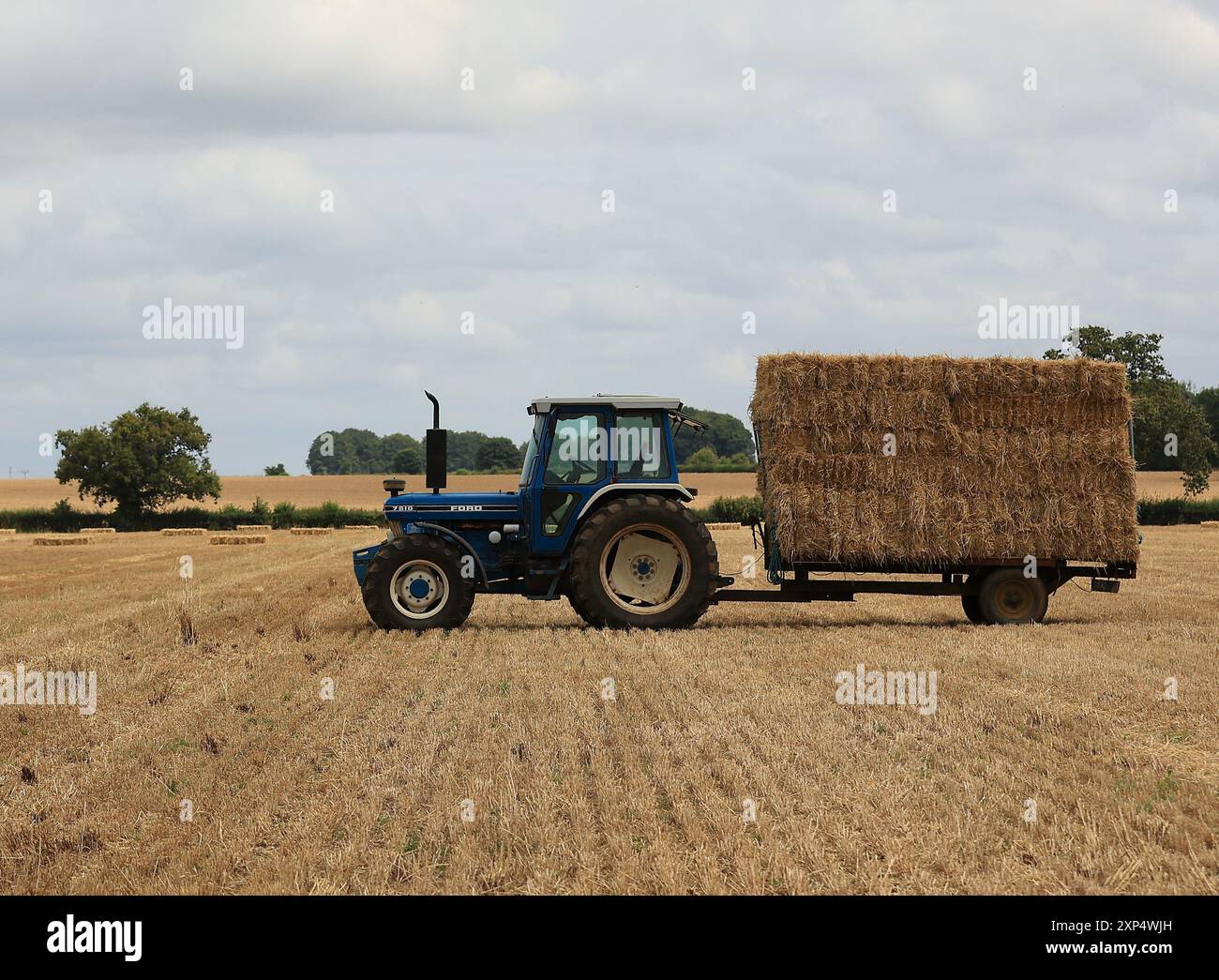 Stroud, Regno Unito, 6 agosto 2024. È ora di raccolta estiva per gli agricoltori del Gloucestershire, che utilizzano i loro trattori e rimorchi per radunarsi nelle balle. Foto Stock