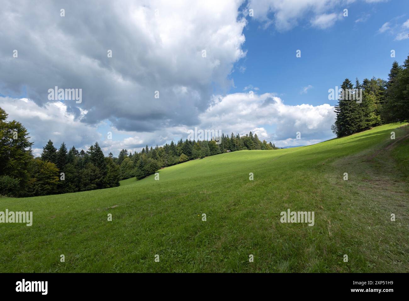 Una pittoresca scena del Parco Nazionale del Pieniny in Polonia, che presenta un vasto e lussureggiante prato verde con alberi, sotto un cielo parzialmente nuvoloso Foto Stock