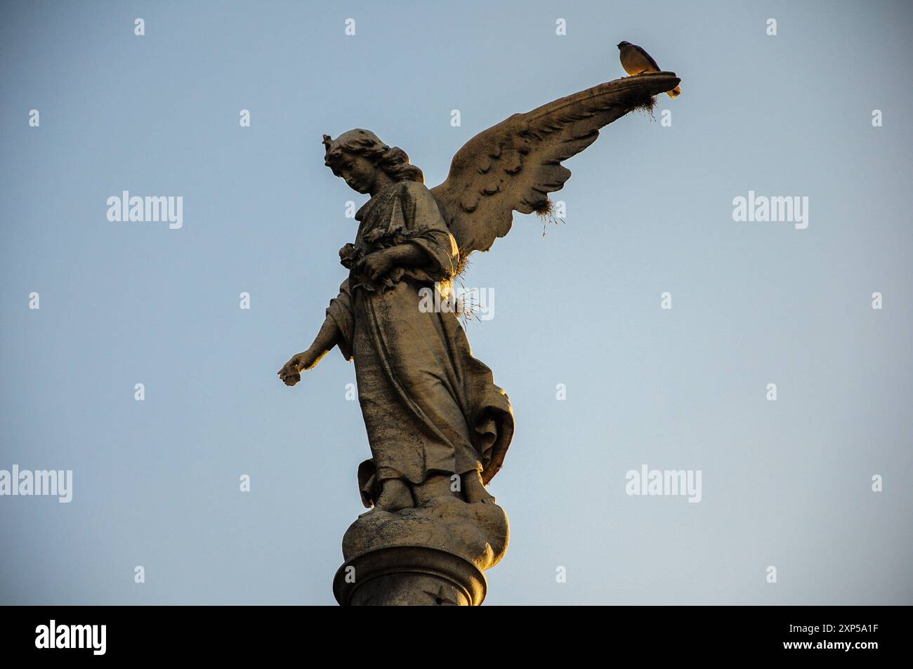 Maestosa statua dell'angelo sul piedistallo, uccello sull'ala, cielo azzurro sullo sfondo Foto Stock