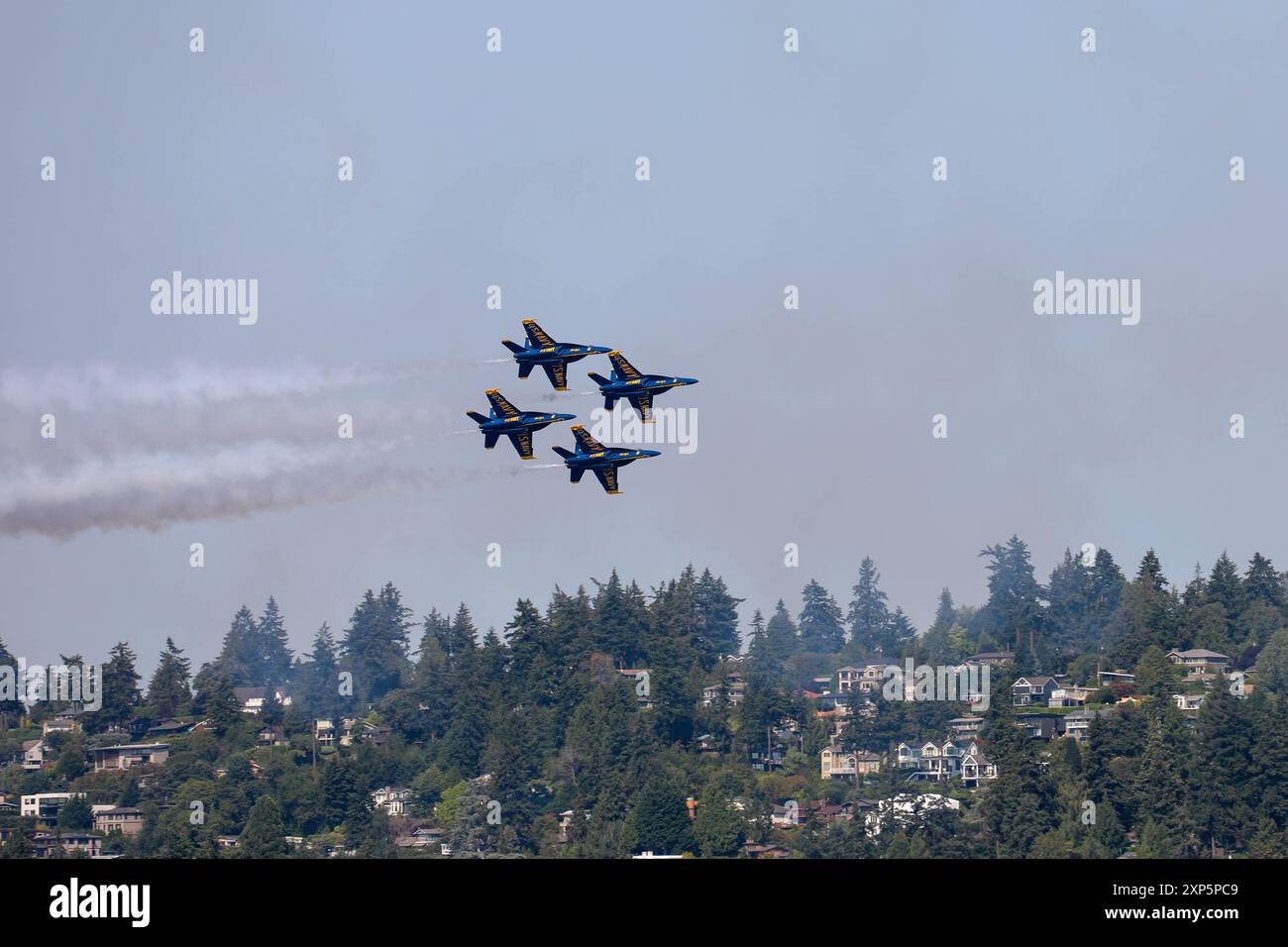 La squadra dimostrativa di volo degli U.S. Navy Blue Angels si esibisce sul lago Washington, Seattle, come parte della Seattle Seafair Fleet Week 2 agosto 2024. La Seattle Fleet Week è una celebrazione storica dei servizi marittimi e offre ai cittadini di Washington l'opportunità di incontrare marinai, marines e guardie costiere, nonché di testimoniare in prima persona le ultime capacità dei servizi marittimi di oggi. (Foto della Marina degli Stati Uniti di Justin Ontiveros, specialista della comunicazione di massa di terza classe) Foto Stock