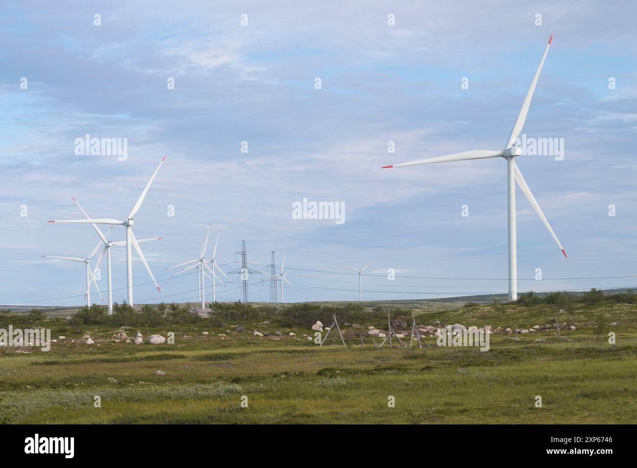 REGIONE DI MURMANSK, RUSSIA - 28 LUGLIO 2024: Generatori eolici e linee elettriche della centrale eolica di Kola in un giorno di sole luglio Foto Stock
