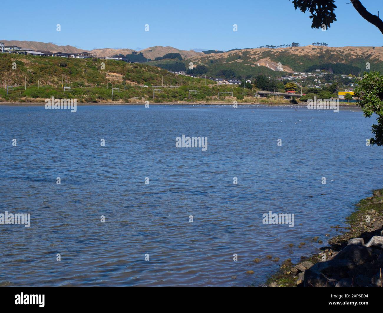 Porto di Porirua Foto Stock