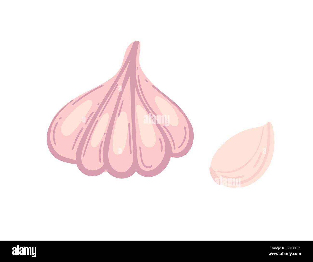 Set di bulbo d'aglio intero e spicchio separato. Verdure fresche e piccanti. Alimenti biologici aromatici ideali per guide culinarie e materiali didattici. Vettore Illustrazione Vettoriale