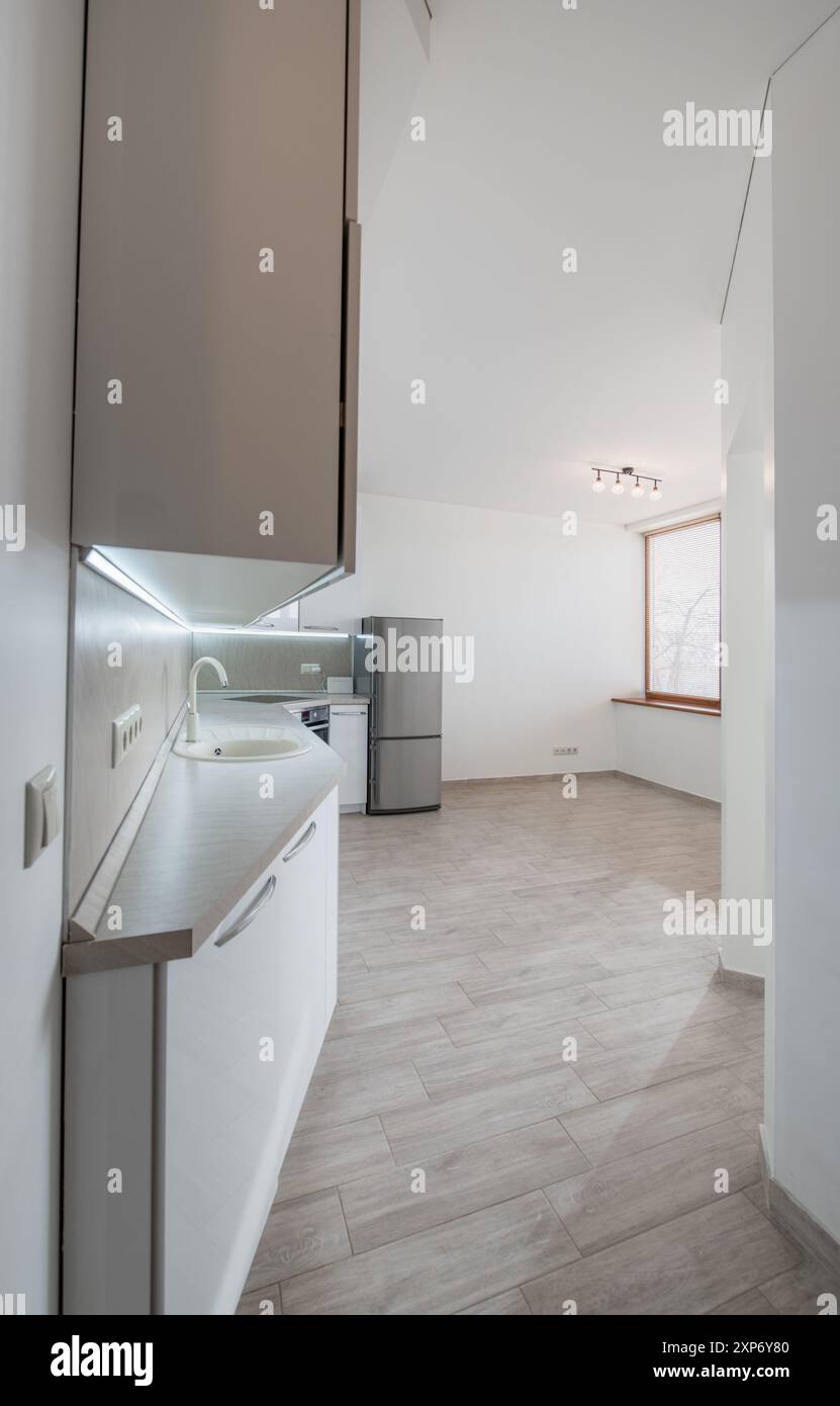 Stile scandinavo, accogliente, moderno, aperto, luminoso minimalismo, cucina e interni. Forno, rubinetto, frigo. Colore bianco. Grandangolo Foto Stock