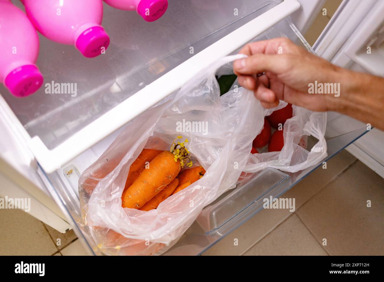Una mano apre un sacchetto di plastica contenente carote che hanno iniziato a germogliare. Foto Stock