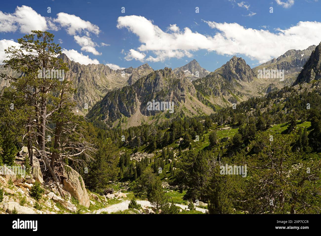 Gebirgslandschaft im Nationalpark Aigüestortes i Estany de Sant Maurici, Katalonien, Spanien, Europa | paesaggio montano di Aigüestortes i Estany de Foto Stock