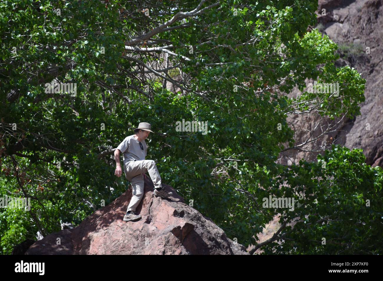 L'uomo sale con attenzione fino alla cima di una formazione di arenaria nel Canyon di San Lorenzo nel New Mexico. Gli arti verdi riempiono lo sfondo. Foto Stock