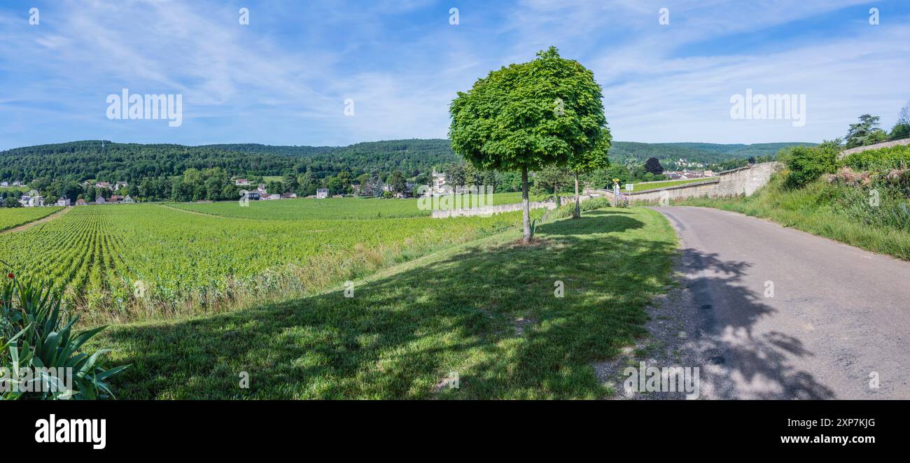 Percorso ciclabile verde vicino al villaggio di Savigny-lès-Beaune, Borgogna, Francia. Foto Stock