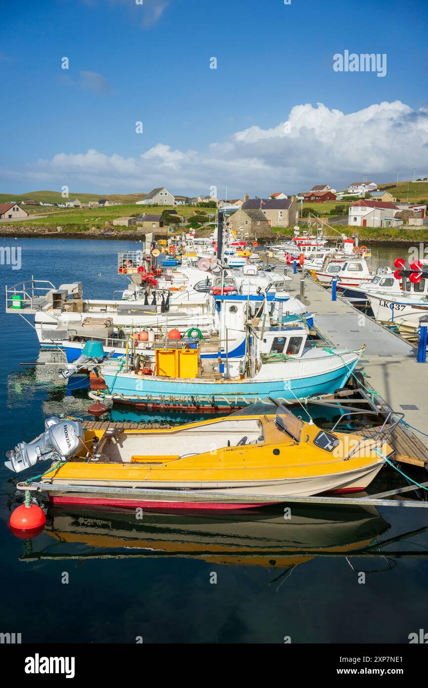 Whalsay è la sesta più grande delle isole Shetland nel nord della Scozia. Conosciuta come "l'isola di bonnie" con una grande flotta di pesca pelagica Foto Stock