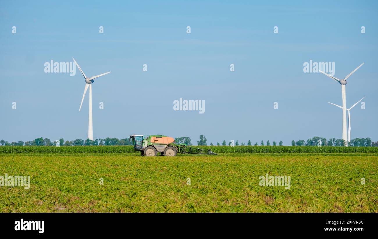 Trattori che spruzzano pesticidi nei campi verdi durante l'estate, agricoltori primono la terra al tramonto, agricoltura Noordoostpolder Paesi Bassi Foto Stock