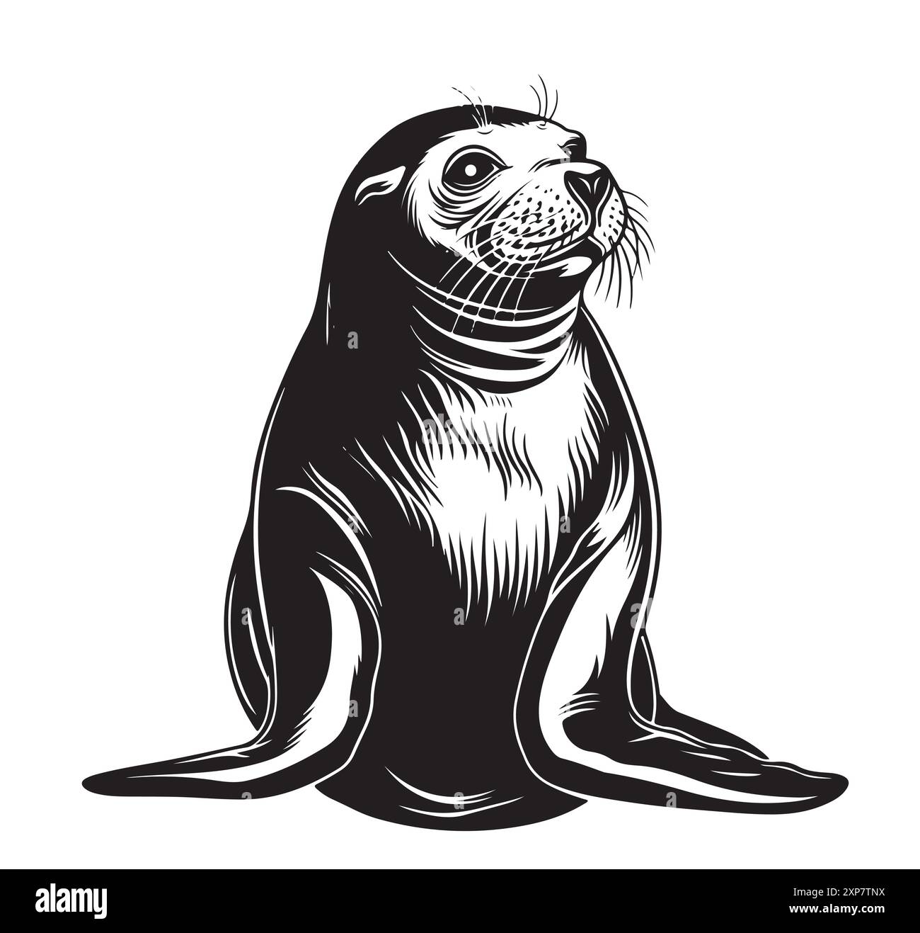 Foca in pelliccia schizzo disegnato a mano Marine Animals Vector illustrazione. Illustrazione Vettoriale