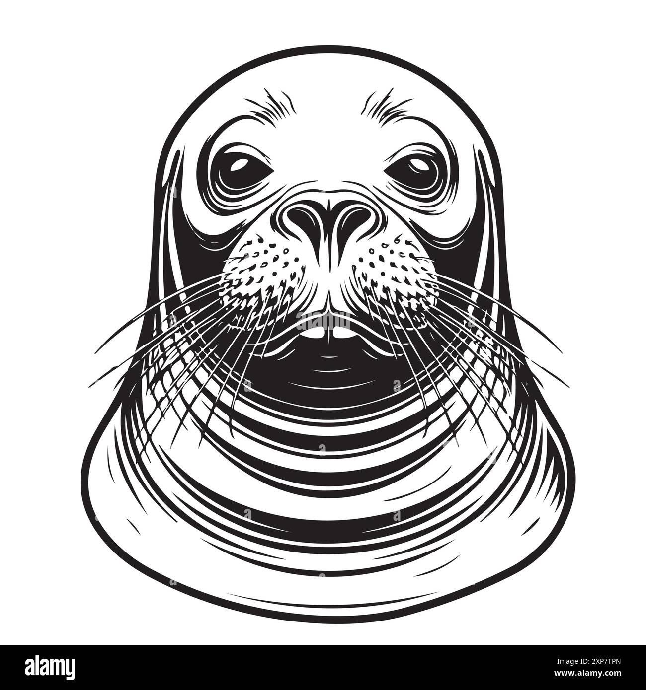 Foca in pelliccia schizzo disegnato a mano Marine Animals Vector illustrazione. Illustrazione Vettoriale