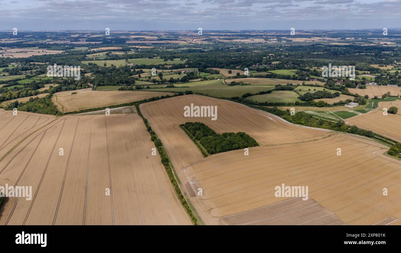 Bellissimo campo a forma di cuore molto vicino a Combe Gibbet vicino a Inkpen, Berkshire, Inghilterra, agosto 2024 Foto Stock