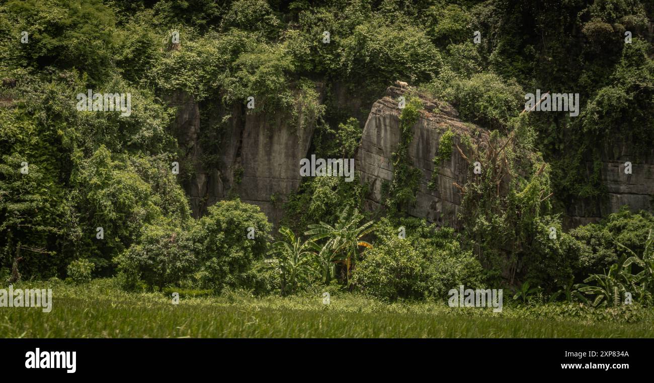 Natura viaggi Vietnam attrazioni natura paesaggio di Tam Coc-Bich Dong in Vietnam Foto Stock