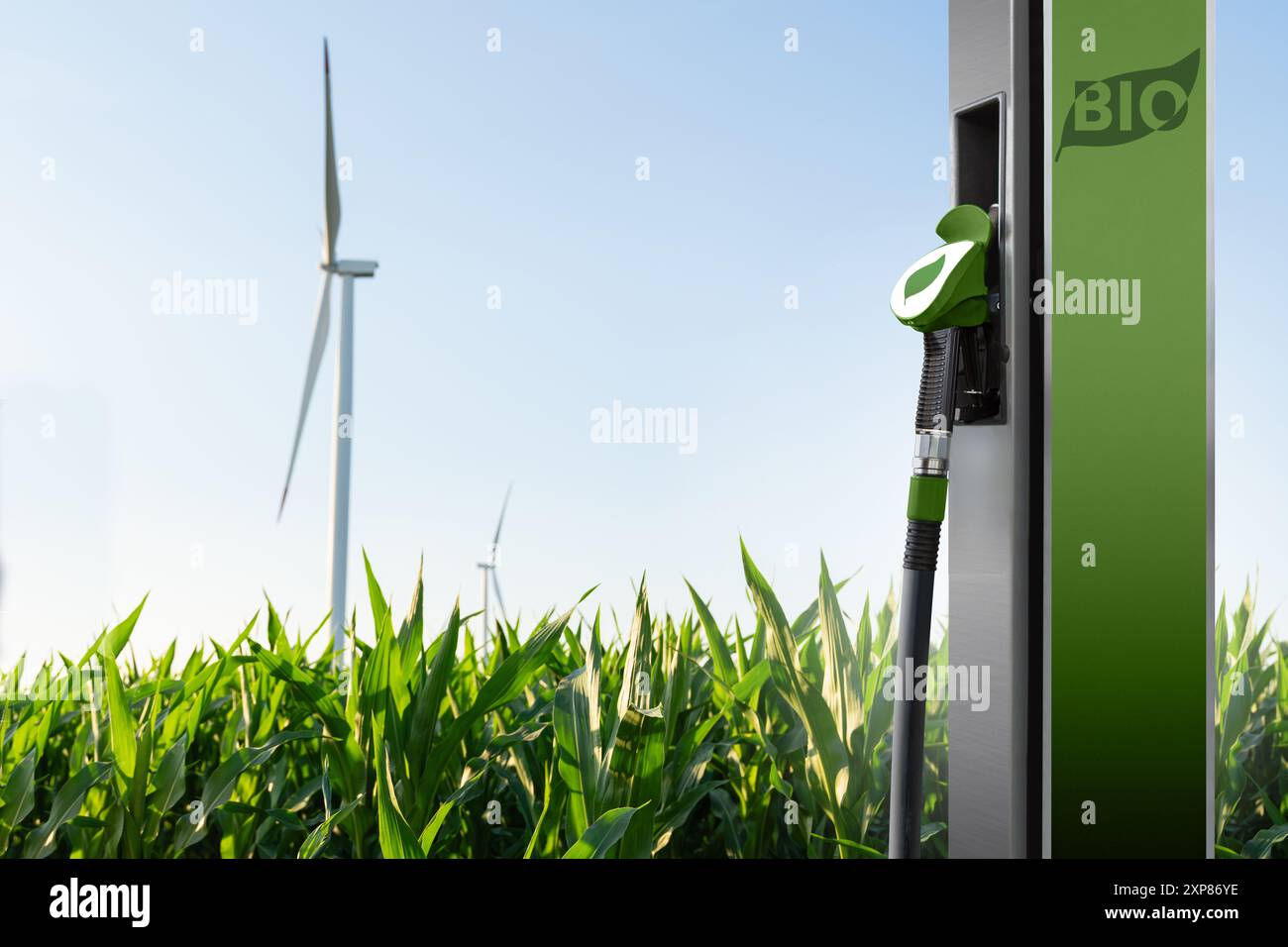 Ugello di rifornimento di biocarburante sullo sfondo del campo di mais con turbine eoliche. Foto Stock