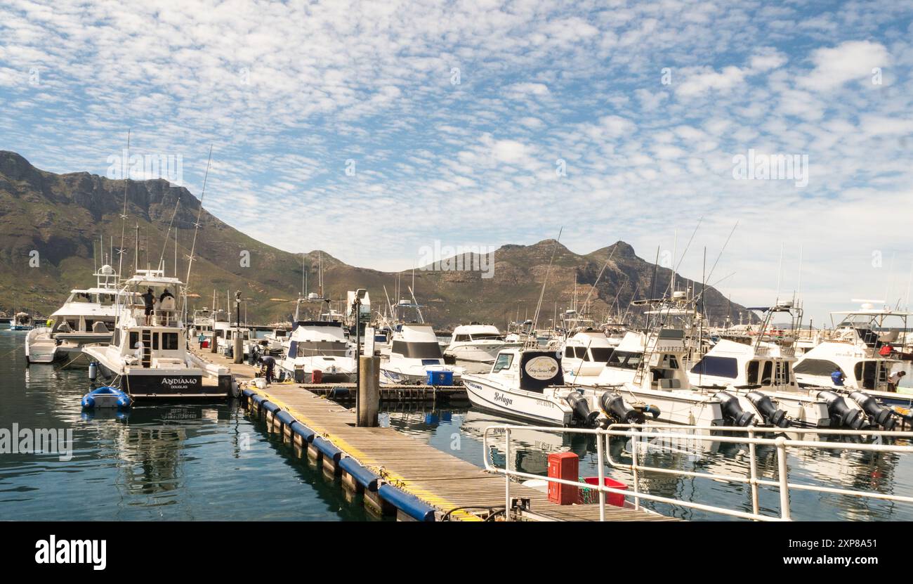 Imbarcazioni commerciali e private, lanci a motore, imbarcazioni da diporto ormeggiate in un porticciolo, porto di Hout Bay, Capo Occidentale, Sudafrica Foto Stock