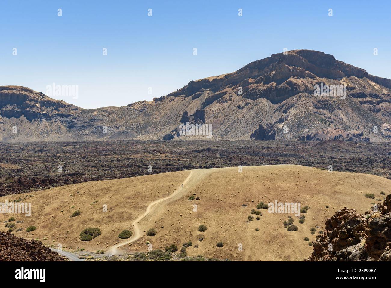Paesaggio vulcanico del Parco Nazionale del Teide a Tenerife. Isole Canarie, Spagna Foto Stock