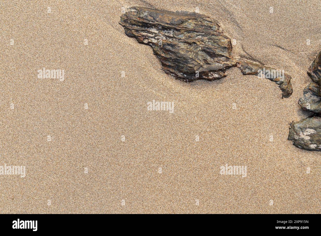 Sabbia fine liscia e incontaminata e rocce di sabbia ruvida su una spiaggia in una giornata di sole, vista dall'alto. Fondo sabbioso naturale con trama astratta. Copia spazio. Foto Stock