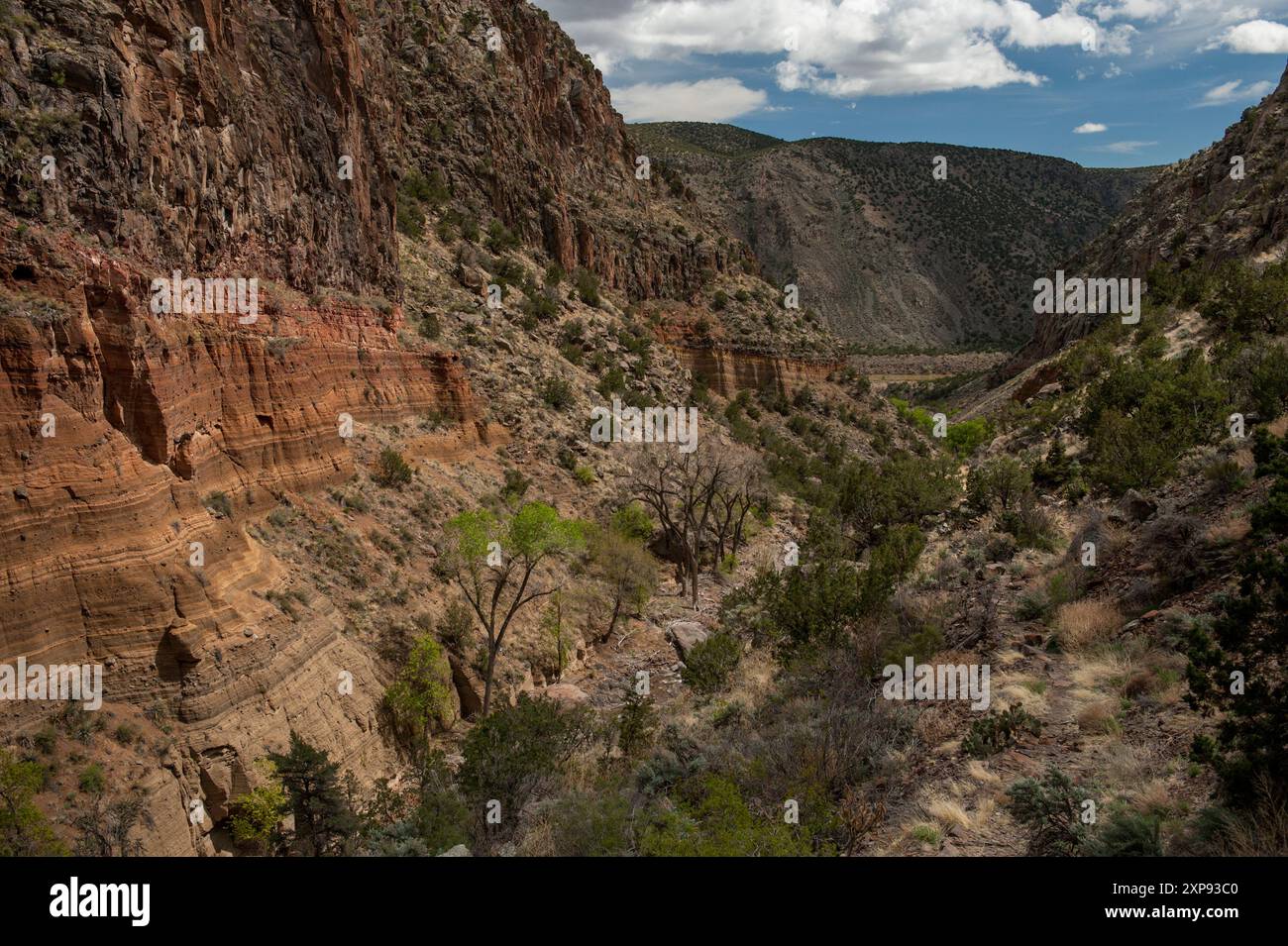 Strati di lava e tufo vulcanico nel canyon di Frijoles Creek, nel Bandelier National Monument vicino a Los Alamos, New Mexico. Foto Stock