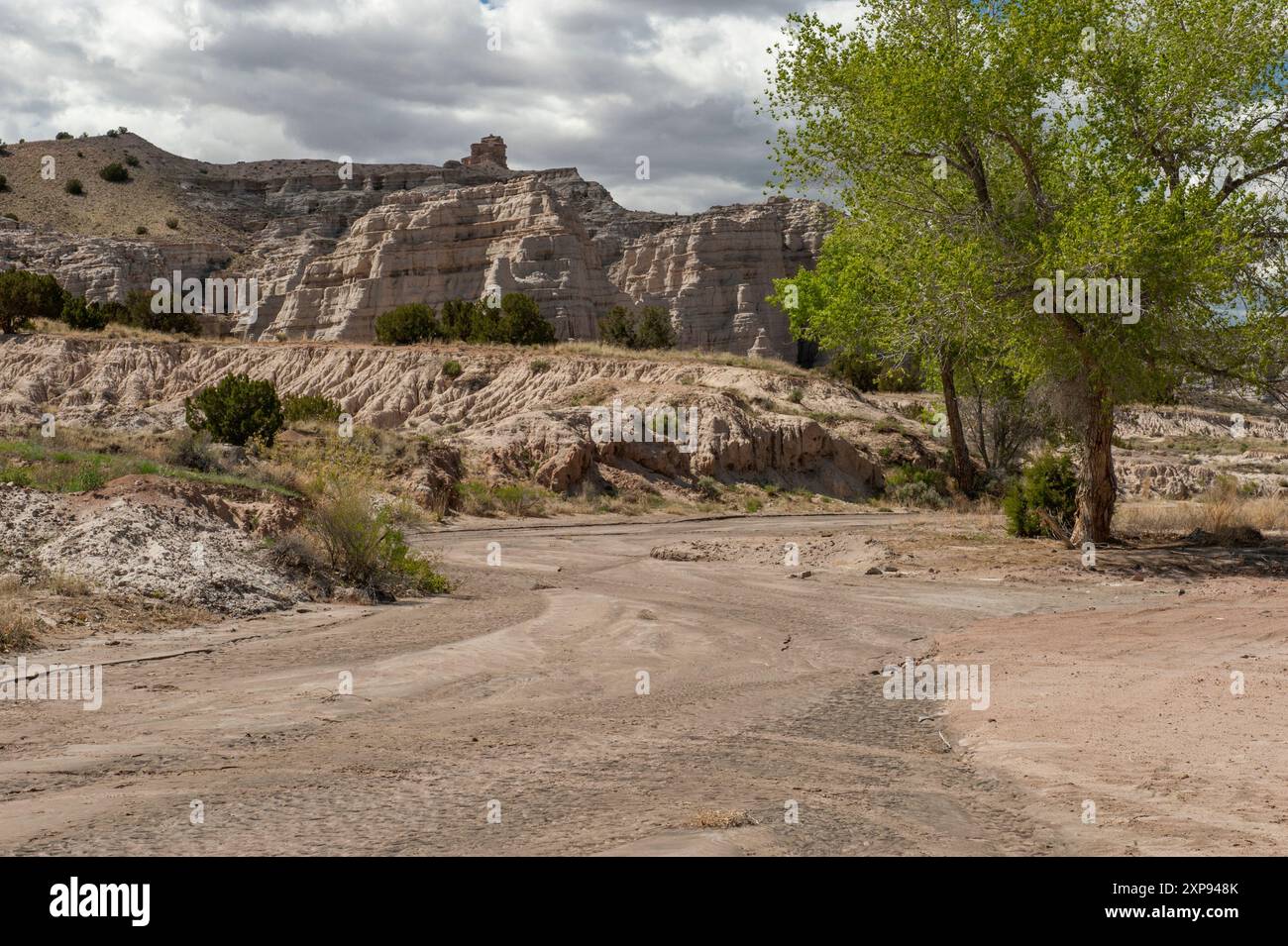 Tufo vulcanico rosa vicino ad Abiquiu, New Mexico Foto Stock