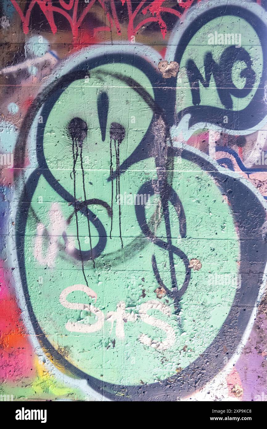 Le rovine di CFS Lac St. Denis, Québec, Canada e i suoi graffiti e danni strutturali. Foto Stock