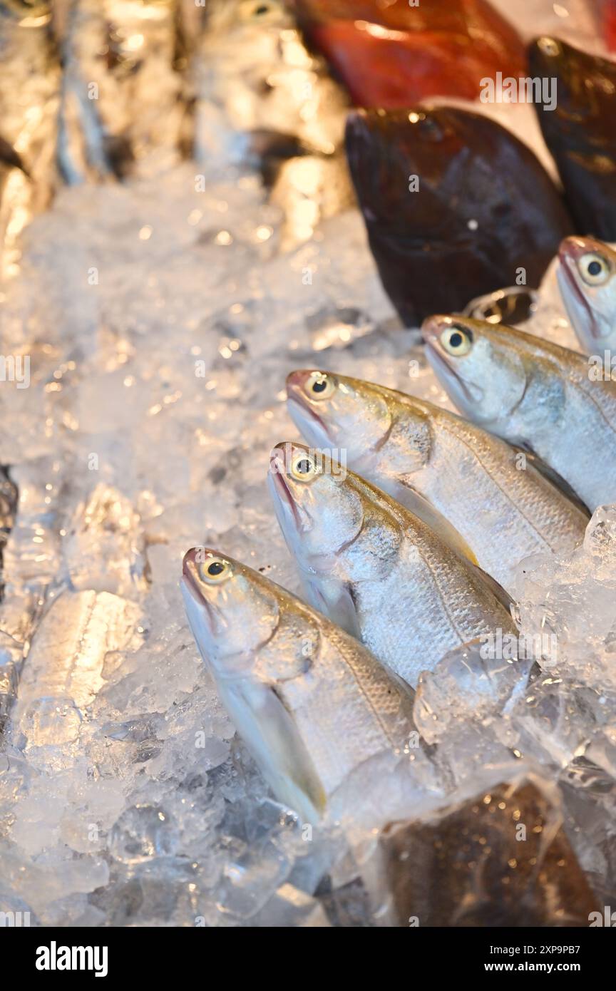 Vivi l'atmosfera vivace di un tradizionale mercato del pesce dove pesce appena pescato dalle barche. Foto Stock