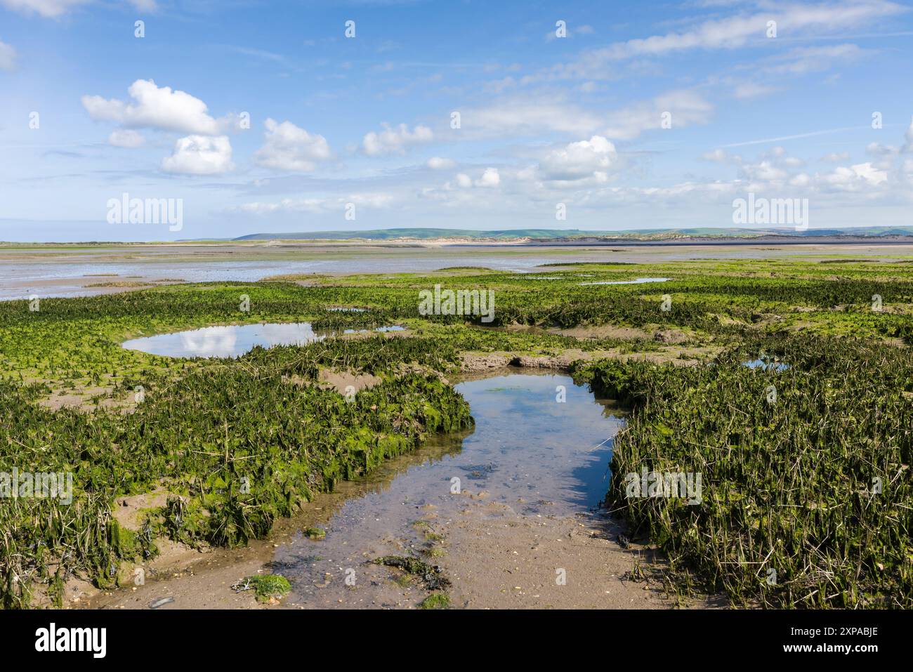 Le distese fangose di Skern ad Appledore nell'estuario di Taw e Torridge sulla costa del Devon settentrionale con la bassa marea, in Inghilterra. Foto Stock