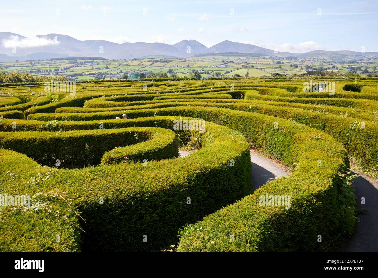 labirinto di pace nella contea castlewellan dell'irlanda del nord nel regno unito Foto Stock