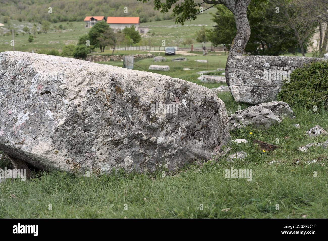 Begovača, Livno, Bosnia ed Erzegovina - maggio 2023: Lapide medievale di Stećak ('Begovača 2/Mašet'). Ci sono più di 70.000 di queste tombe di Stećak Foto Stock