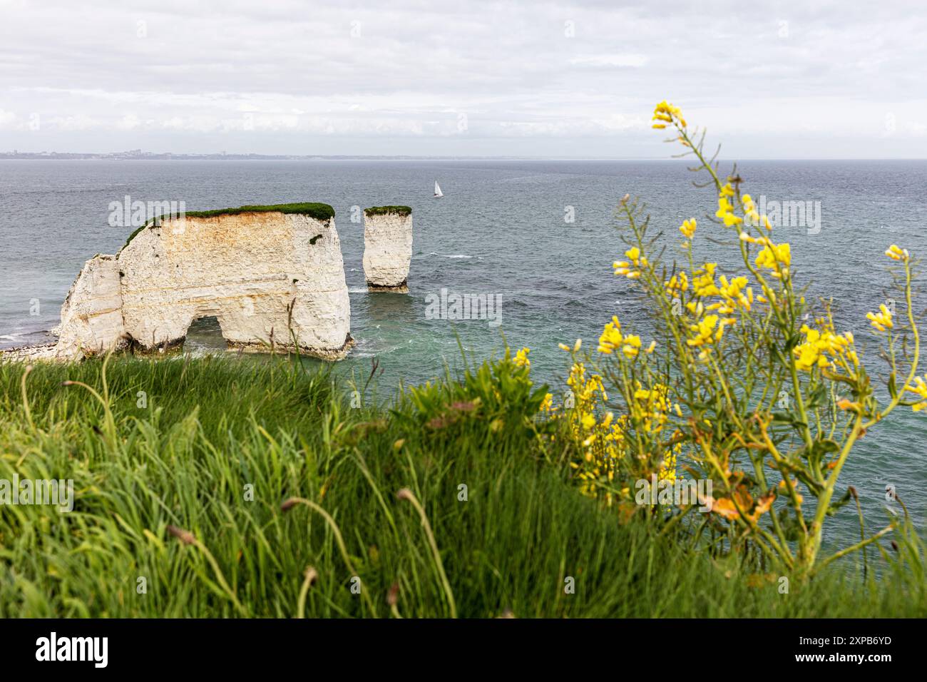 Old Harry Rocks, Handfast Point, Dorset, Regno Unito, Inghilterra, rocce di gesso, formazioni di gesso, isola di Purebeck, costa giurassica, sito patrimonio dell'umanità dell'UNESCO, Foto Stock