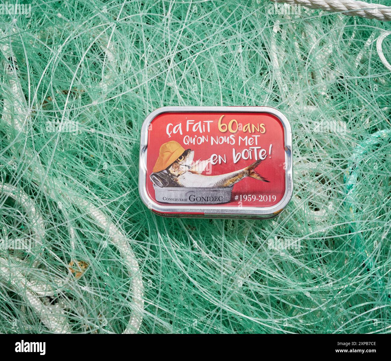 Edizione speciale in stagno decorativo di sardine, Francia prodotta da Les Mouettes d'Arvor l'ultima conserve di pesce in piedi a Concarneau, Francia Foto Stock