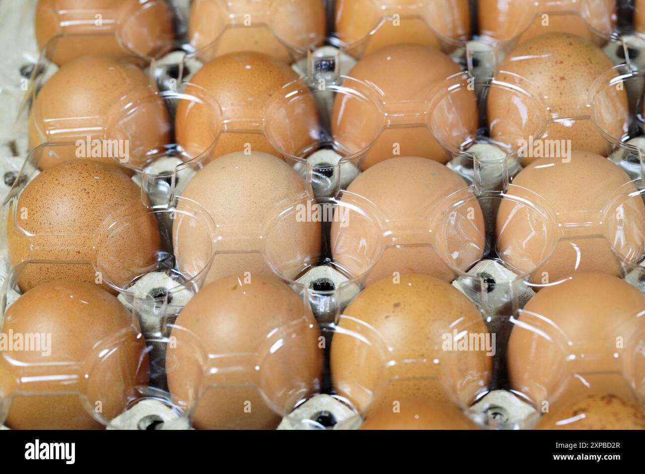 Uova di pollo crude in confezione di polietilene tereftalato (PET o PETE) con luce naturale. Foto Stock