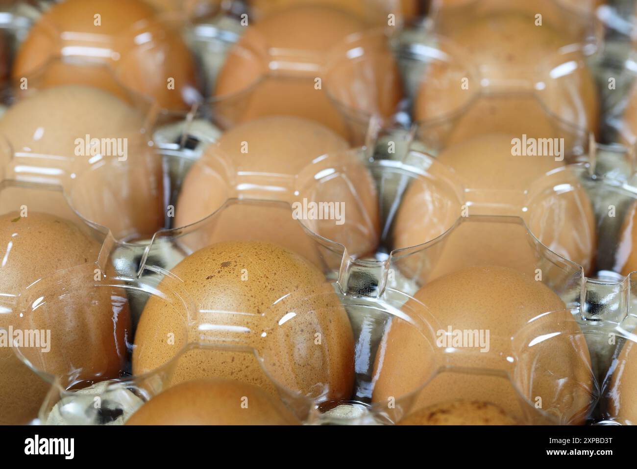 Uova di pollo crude in confezione di polietilene tereftalato (PET o PETE) con luce naturale. Foto Stock