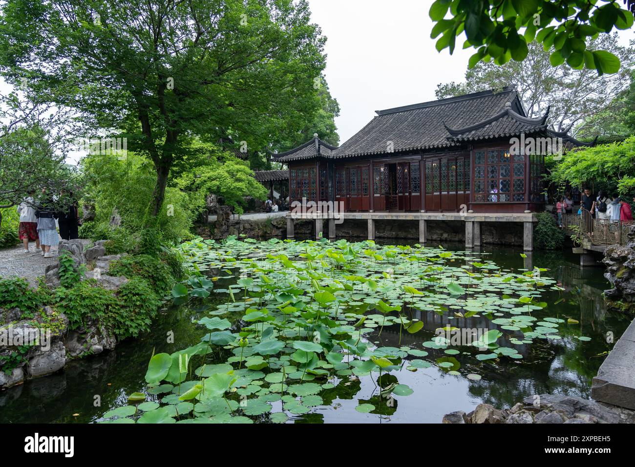 Suzhou, Cina - 11 giugno 2024: Uno stagno in un giardino cinese con un padiglione in legno, vegetazione lussureggiante e sentieri in pietra. Foto Stock