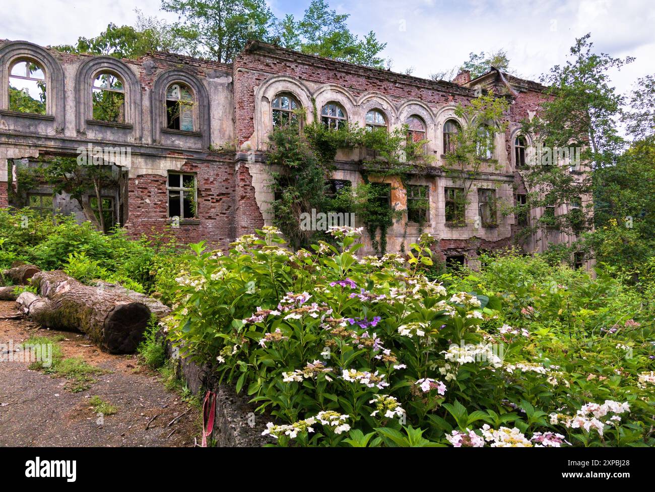 Scuola abbandonata in rovina nella città di Akarmara, città di Tkvarcheli, Abkhazia. Vecchio edificio ricoperto di piante verdi, erba in estate. Concetto di guerra, grunge, Foto Stock