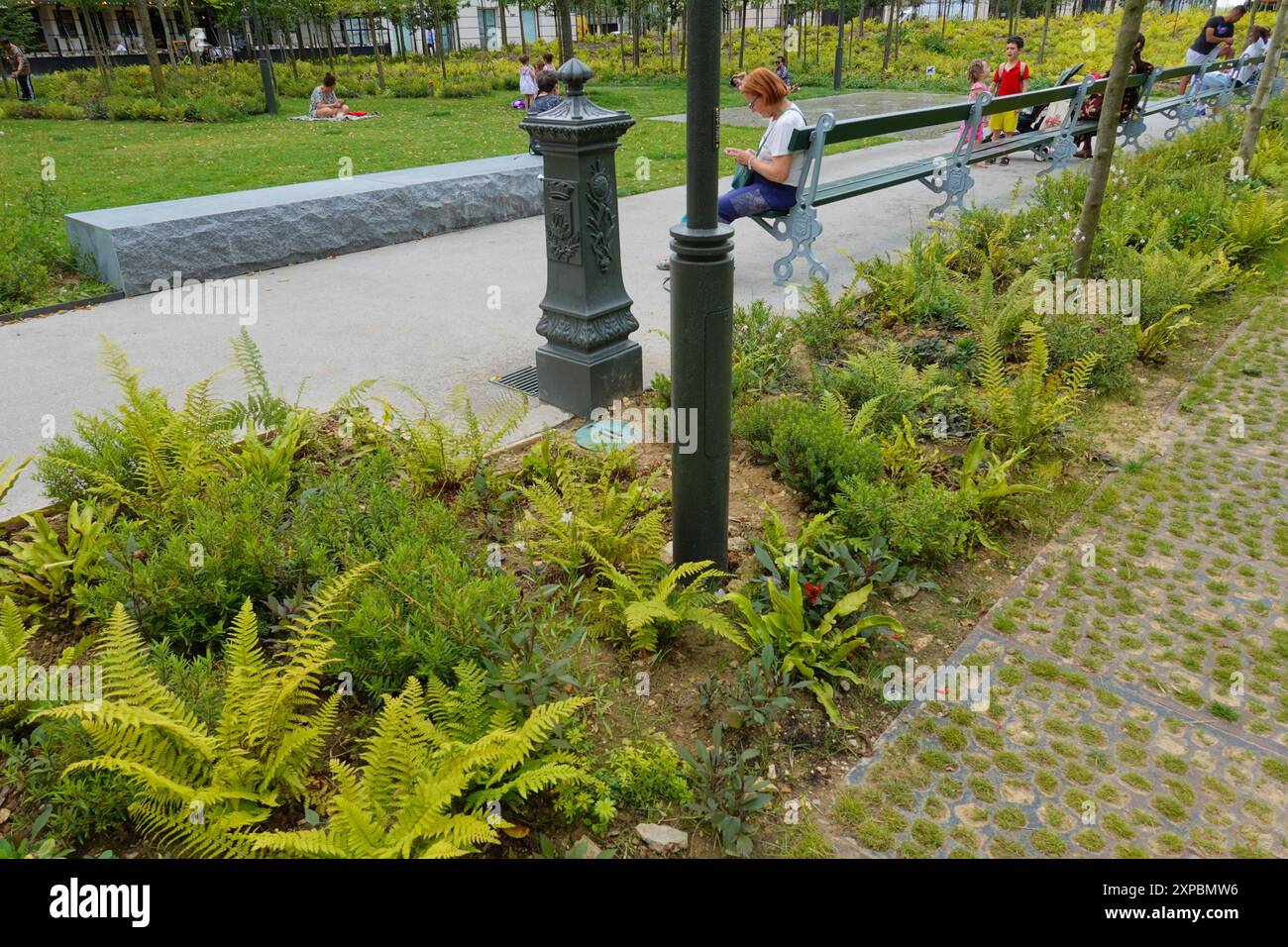 Parigi, Place de Catalogne, Mikrowald, Stadtwald // Parigi, Place de Catalogne, piccola foresta *** Parigi, Place de Catalogne, micro foresta, foresta urbana Pa Foto Stock