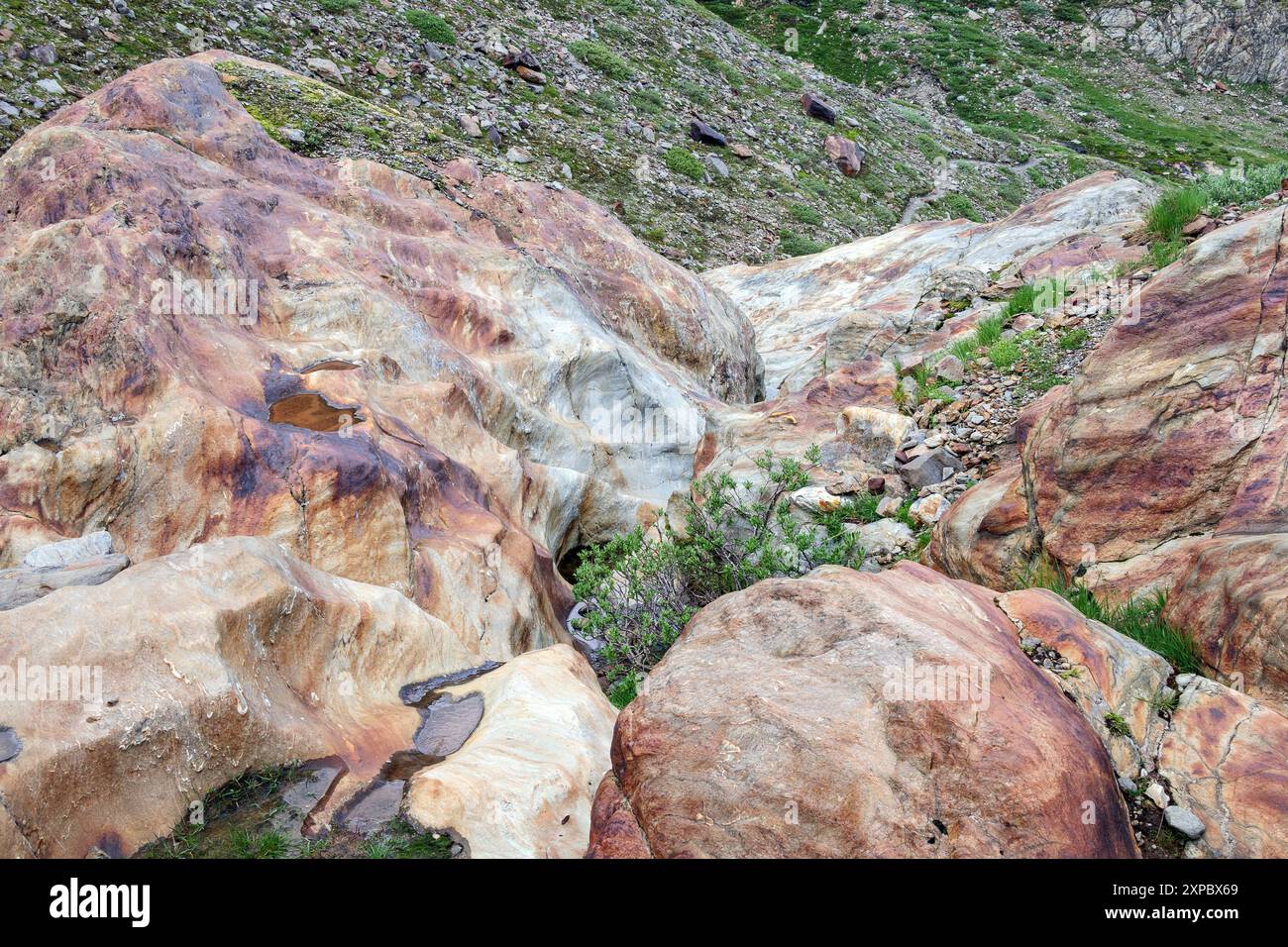 Morfologia glaciale. Rocce lisce, buche di erosione dell'acqua nella valle glaciale di Forni. Valfurva. Valtellina. Alpi italiane. Europa. Foto Stock