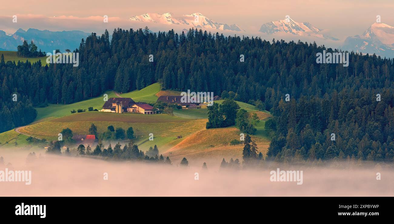 Un'ampia immagine panoramica 2:1 di una mattina d'estate nebbiosa all'alba nell'Emmental, una valle della Svizzera centrale, nel cantone di Berna, con una vi Foto Stock