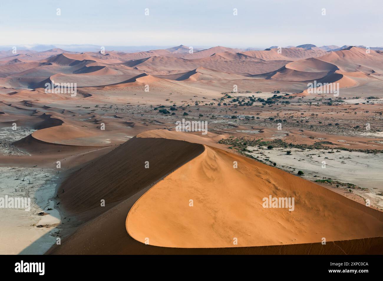 Paesaggio della Namibia con colline sabbiose e dune a Sossusvlei, Namib-Naukluft National Park, Namibia. Panorama del deserto del Namib con turisti che camminano fino a raggiungere Foto Stock