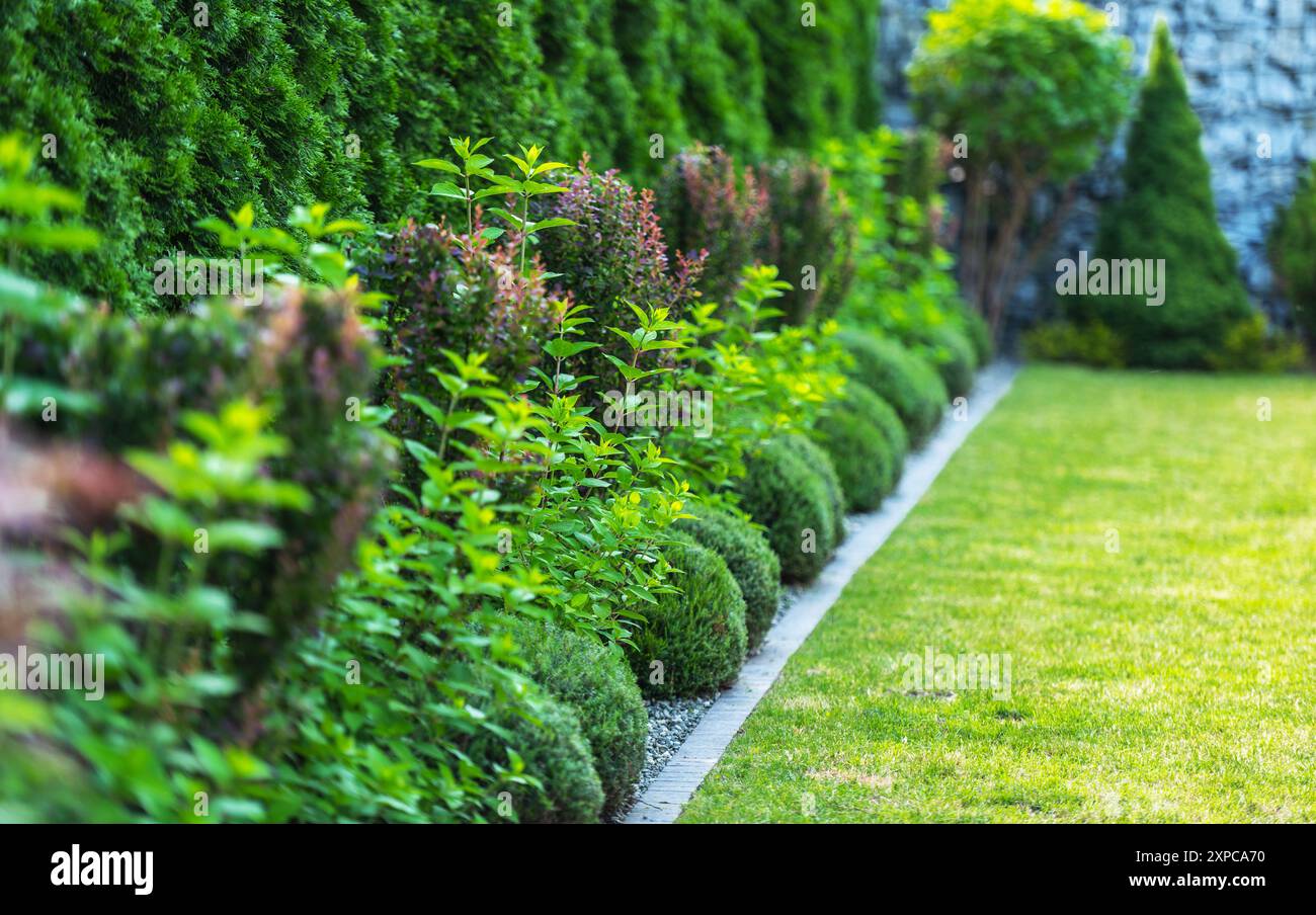 Un vibrante sentiero giardino fiancheggiato da arbusti sferici e vegetazione sana sotto cieli azzurri. Foto Stock