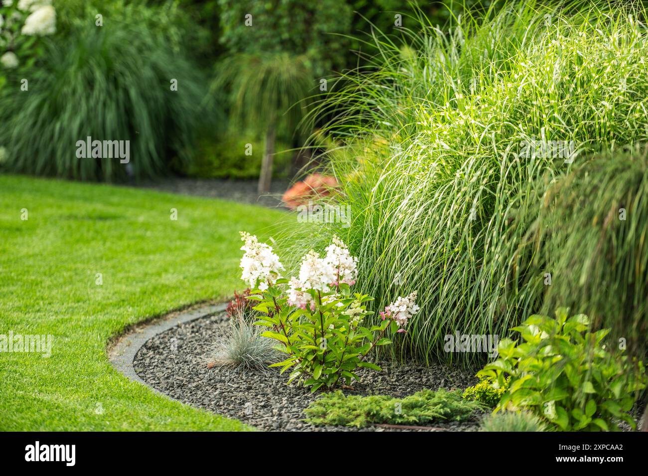 Un giardino espone piante vivaci lungo un sentiero curvo, caratterizzato da erbe verdi e fiori in fiore sotto la calda luce del sole pomeridiano. Foto Stock
