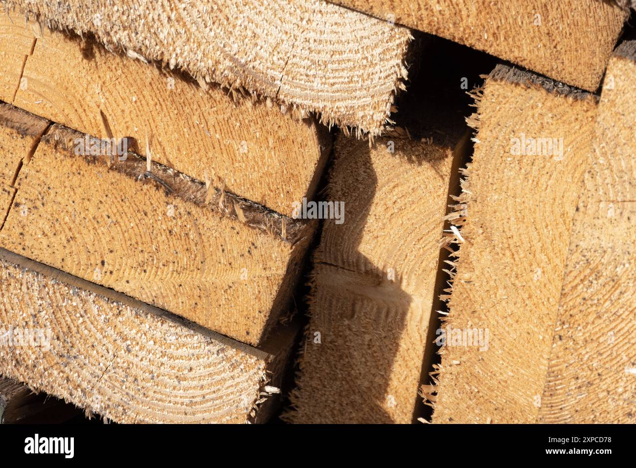 Pannelli di legno impilati foto ravvicinata, legno industriale come materiale da costruzione Foto Stock