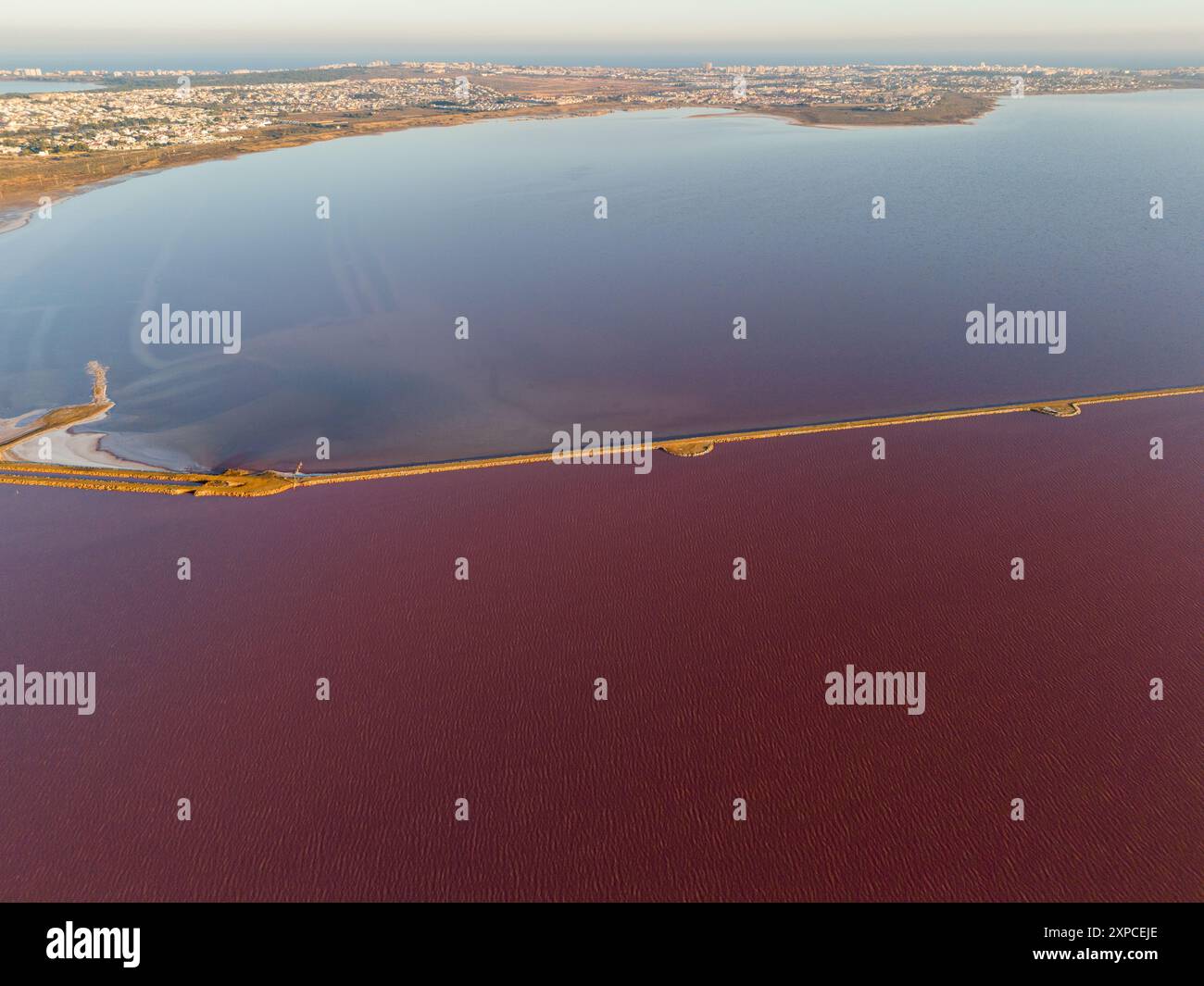 Lago salato rosa, Las Salinas de Torrevieja è un lago di colore rosso o rosa. Ciò è spesso causato dalla presenza di alghe tolleranti al sale che producono carotenoidi, come Dunaliella salina, di solito in combinazione con batteri specifici e archea, che possono variare da lago a lago. L'archaeone più comune è l'Halobacterium salinarum. Foto Stock