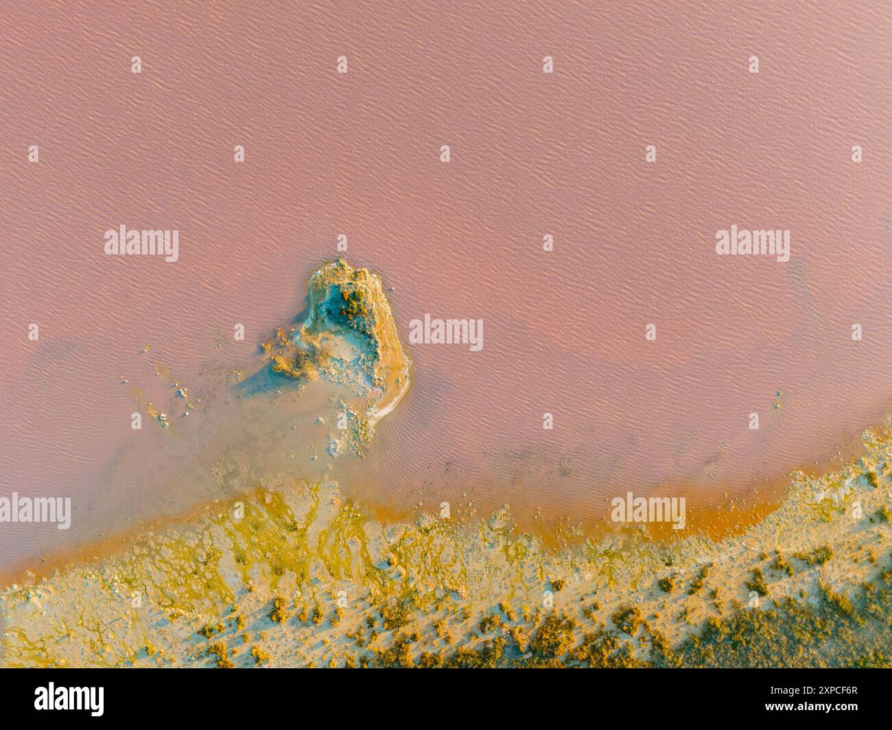 Lago salato rosa, Las Salinas de Torrevieja è un lago di colore rosso o rosa. Ciò è spesso causato dalla presenza di alghe tolleranti al sale che producono carotenoidi, come Dunaliella salina, di solito in combinazione con batteri specifici e archea, che possono variare da lago a lago. L'archaeone più comune è l'Halobacterium salinarum. Foto Stock