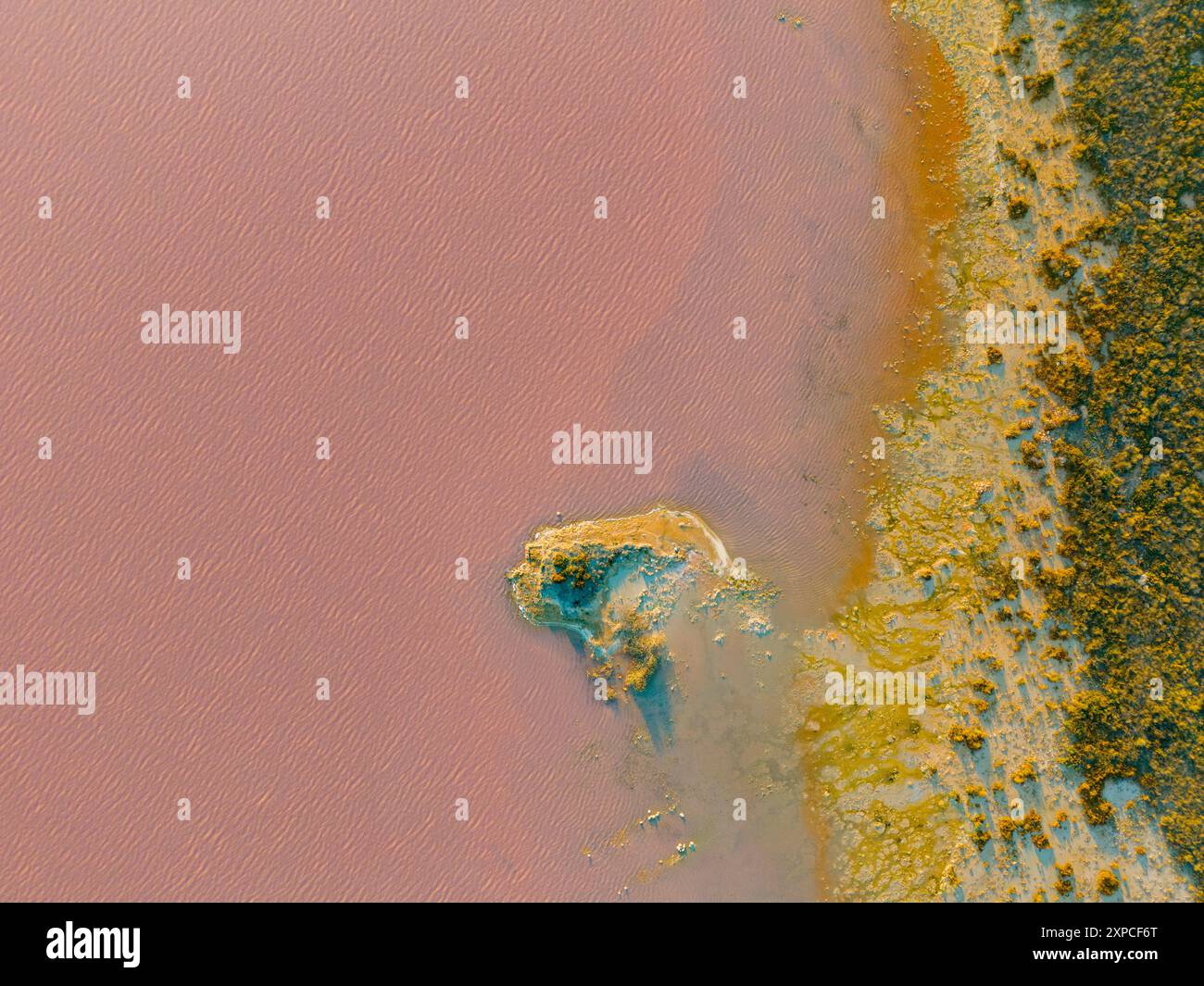 Lago salato rosa, Las Salinas de Torrevieja è un lago di colore rosso o rosa. Ciò è spesso causato dalla presenza di alghe tolleranti al sale che producono carotenoidi, come Dunaliella salina, di solito in combinazione con batteri specifici e archea, che possono variare da lago a lago. L'archaeone più comune è l'Halobacterium salinarum. Foto Stock