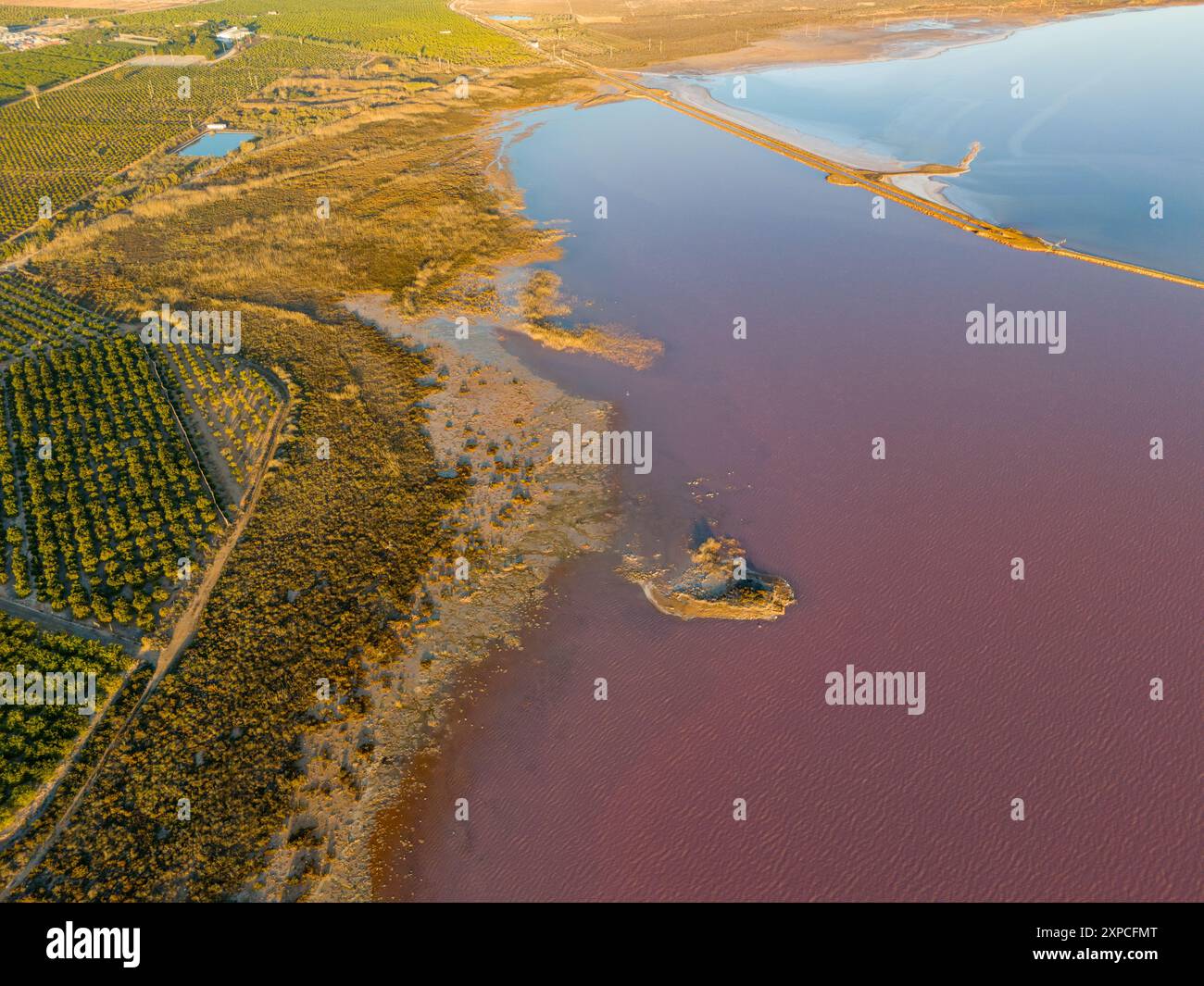 Lago salato rosa, Las Salinas de Torrevieja è un lago di colore rosso o rosa. Ciò è spesso causato dalla presenza di alghe tolleranti al sale che producono carotenoidi, come Dunaliella salina, di solito in combinazione con batteri specifici e archea, che possono variare da lago a lago. L'archaeone più comune è l'Halobacterium salinarum. Foto Stock