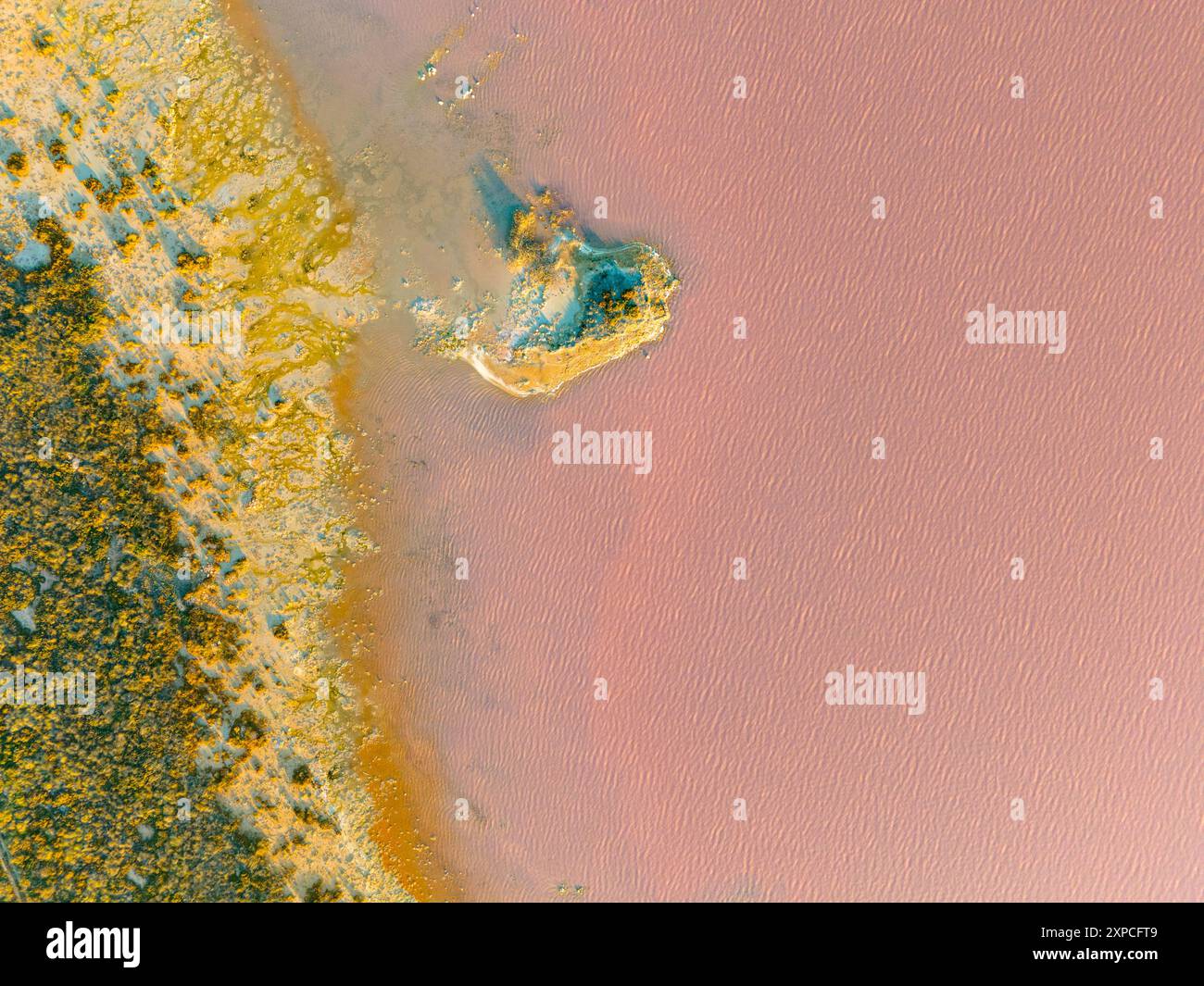Lago salato rosa, Las Salinas de Torrevieja è un lago di colore rosso o rosa. Ciò è spesso causato dalla presenza di alghe tolleranti al sale che producono carotenoidi, come Dunaliella salina, di solito in combinazione con batteri specifici e archea, che possono variare da lago a lago. L'archaeone più comune è l'Halobacterium salinarum. Foto Stock