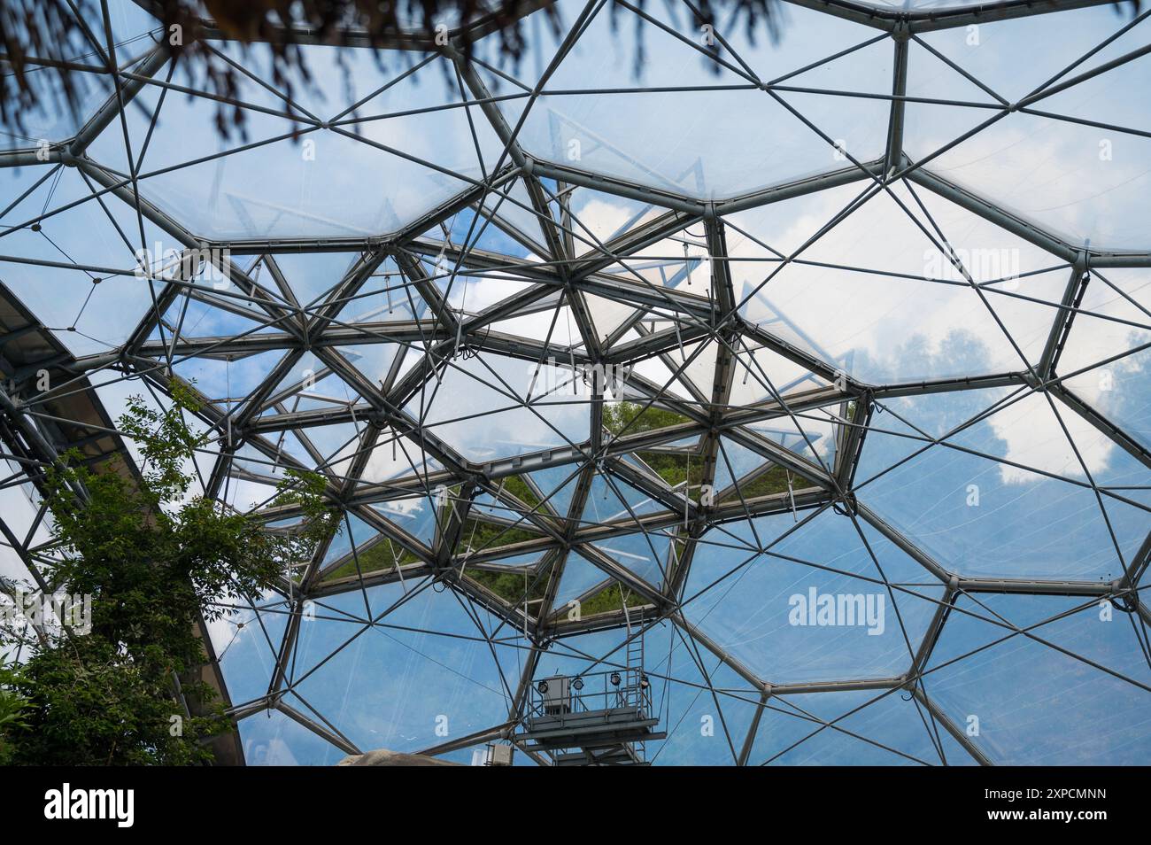 Interno del bioma della foresta pluviale che mostra la struttura esagonale in acciaio tubolare Eden Project Cornwall Inghilterra Regno Unito Foto Stock